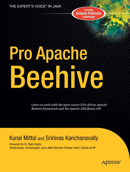 Srinivas Kanchanavally Kunal Mittal Kanchanavally Pro Apache Beehive