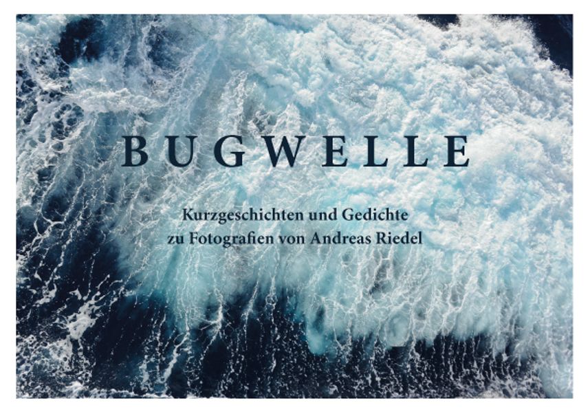 Andreas Riedel Riedel Bugwelle
