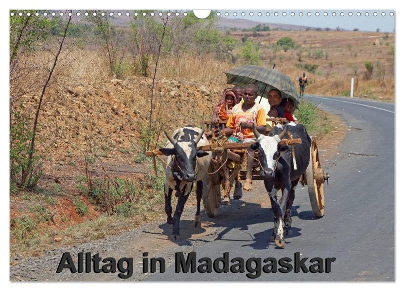 Willy Brüchle Brüchle Alltag in Madagaskar (Wandkalender 2024 DIN A3 quer), CALVENDO Monatskalender