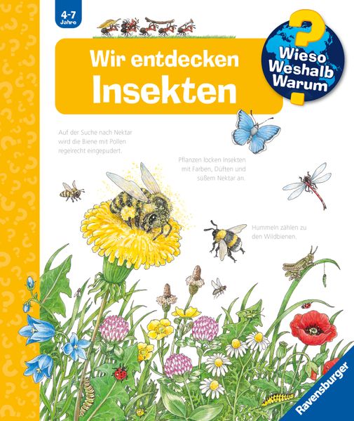 Angela Weinhold Weinhold Wieso? Weshalb? Warum? Band 39 - Wir entdecken Insekten