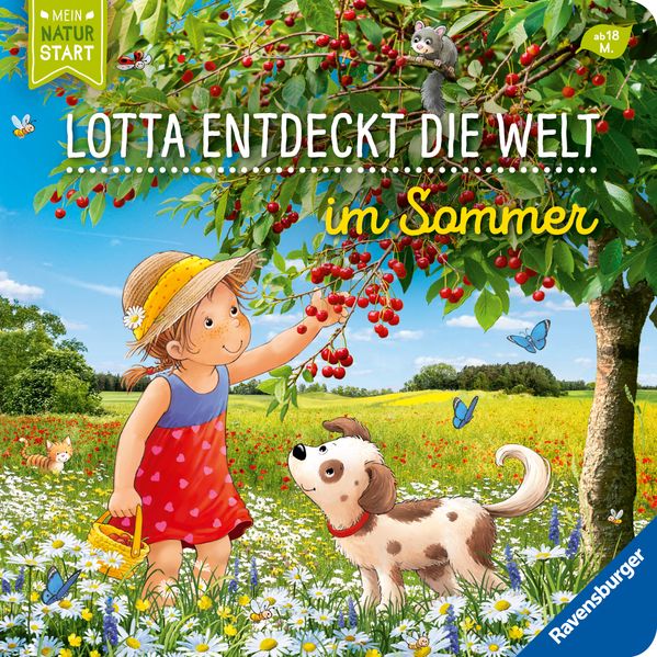 Sandra Grimm Senner Lotta entdeckt die Welt: Im Sommer