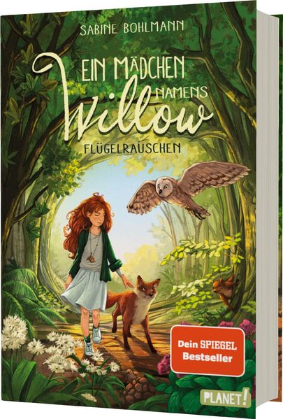 Sabine Bohlmann Bohlmann Ein Mädchen namens Willow 3: Flügelrauschen