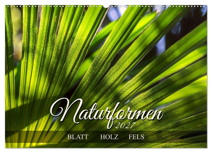 Werner Braun  Naturformen, Blatt, Holz, Fels (Wandkalender 2027 DIN A2 quer), CALVENDO Monatskalender