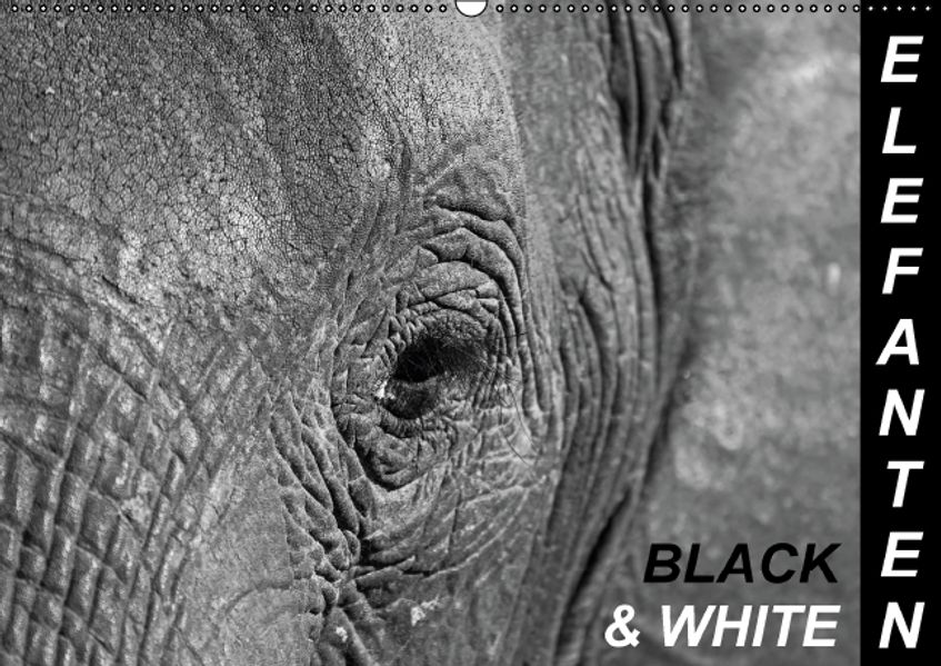 Wibke Woyke Woyke Elefanten - Black & White (Wandkalender 2016 DIN A2 quer)