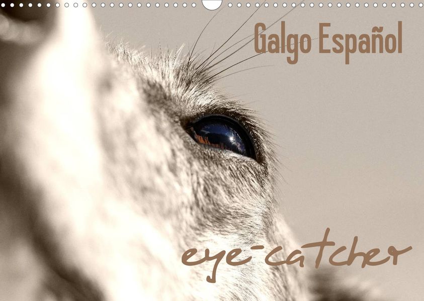4pfoten-design - Andrea Redecker - Andrea Redecker Galgo eye-catcher (Wandkalender 2023 DIN A3 quer)