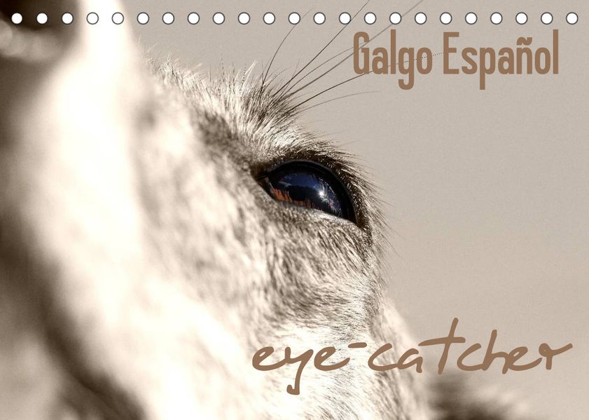 4pfoten-design - Andrea Redecker - Andrea Redecker Galgo eye-catcher (Tischkalender 2023 DIN A5 quer)