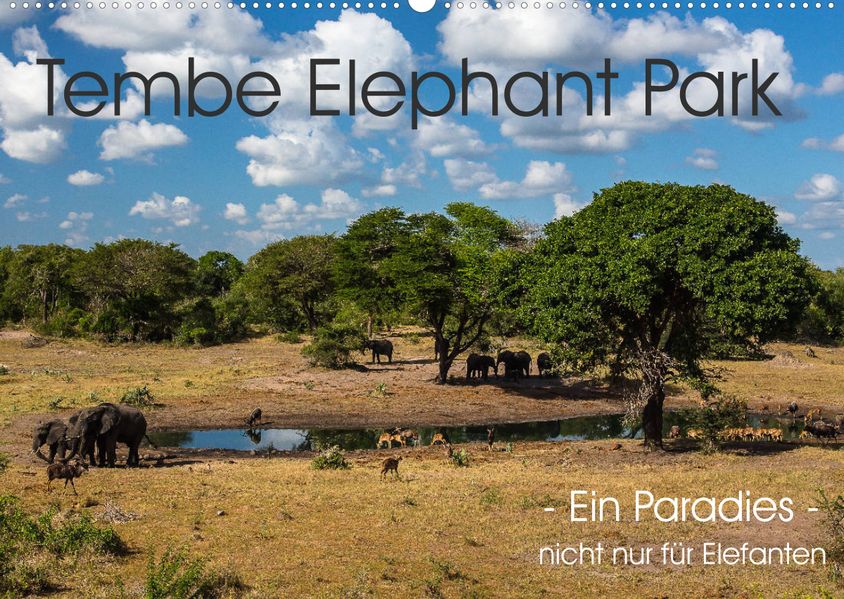 rsiemer rsiemer Tembe Elephant Park. Ein Paradies - nicht nur für Elefanten (Wandkalender 2023 DIN A2 quer)