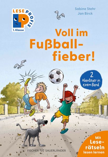 Sabine Stehr Stehr Leseprofis – Voll im Fußballfieber!, 1. Klasse (Doppelband)