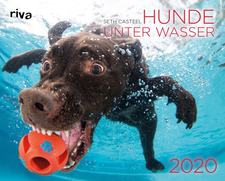 Seth Casteel Casteel Hunde unter Wasser 2020