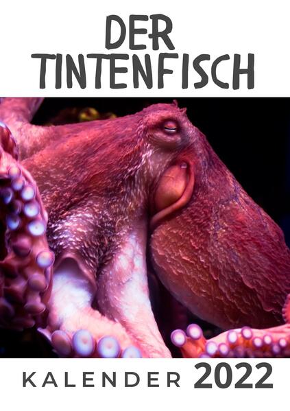  Hübsch Der Tintenfisch