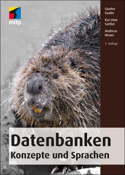 Gunter Saake Kai-Uwe Sattler Andreas Heuer Saake Datenbanken – Konzepte und Sprachen