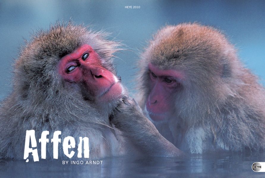   Affen Edition 2010