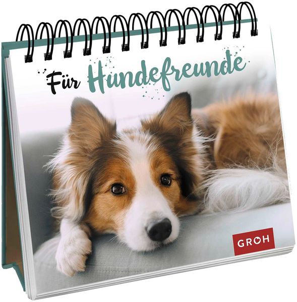  Groh Verlag Für Hundefreunde