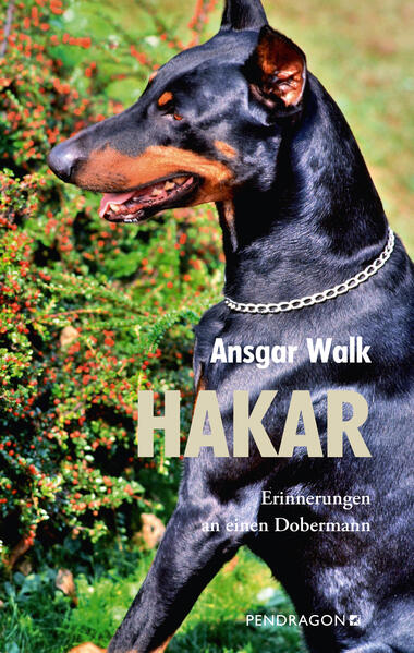 Ansgar Walk Walk Hakar