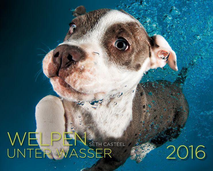 Seeth Casteel Casteel Welpen unter Wasser 2016