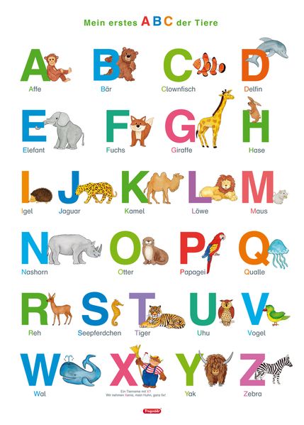 Bengt Fels Fels Fragenbär-Lernposter: Mein erstes ABC der Tiere (in der Schulbuch-Druckschrift) M 50 x 70 cm