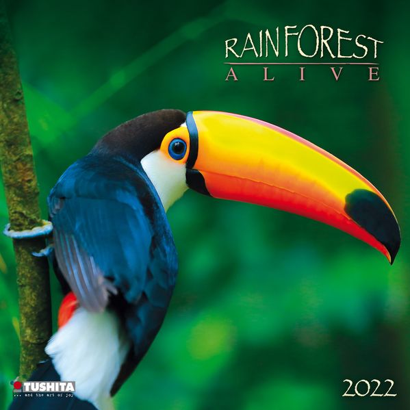   Rainforest Alive 2022