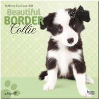 Buch Cover Best Border Collie 2014 - Border Collie