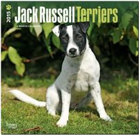 Buch Cover Jack Russell Terriers 2015 International - Jack Russell Terrier