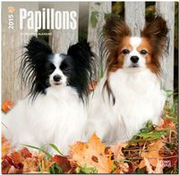 Buch Cover Papillons 2015