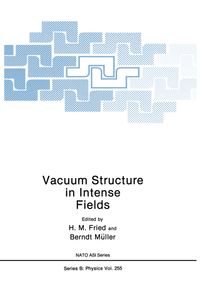 Buch Cover Vacuum Structure in Intense Fields
