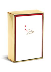 Buch Cover Boxed Notes: Paper Airplanes – Gruß- und Geschenkkartenbox mit Kuverts: Papierflugzeuge