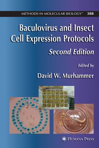 Buch Cover Baculovirus and Insect Cell Expression Protocols