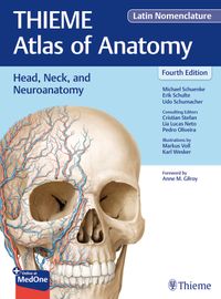 Buch Cover Head, Neck, and Neuroanatomy (THIEME Atlas of Anatomy), Latin Nomenclature