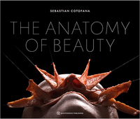 Buch Cover The Anatomy of Beauty