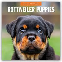 Buch Cover Rottweiler Puppies – Rottweiler Welpen 2027 – 16-Monatskalender