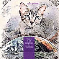 Buch Cover Tsuki chat lunaire en Finistère