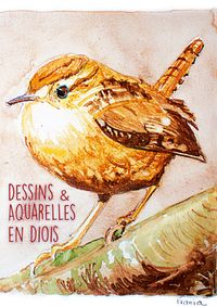 Buch Cover Dessins & Aquarelles en Diois
