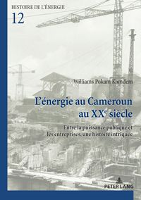 Buch Cover L’énergie au Cameroun