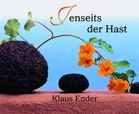 Buch Cover Jenseits der Hast