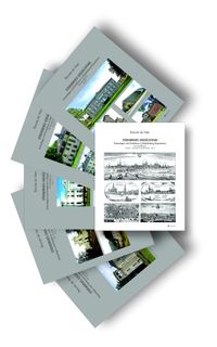 Buch Cover Steinernes Gedächtnis