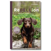 Buch Cover ReBELLion