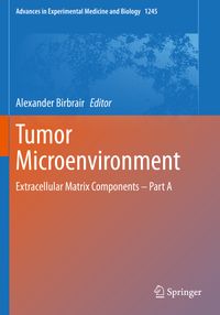 Buch Cover Tumor Microenvironment