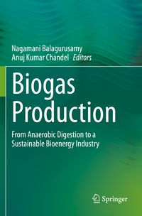 Buch Cover Biogas Production