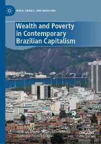 Buch Cover Wealth and Poverty in Contemporary Brazilian Capitalism