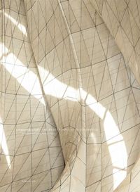 Buch Cover Embodied Light