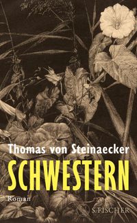 Buch Cover Schwestern