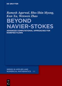 Buch Cover Beyond Navier-Stokes