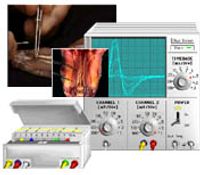 Buch Cover Virtual Physiology - SimHeart, SimMuscle, SimNerve, SimPatch, SimVessel / SimNerv: Simulation von Summenaktionspotentialen peripherer Nerven am Beispiel des Nervus ischiadicus des Krallenfrosches