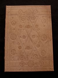 Buch Cover Liber Scivias