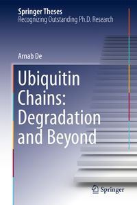 Buch Cover Ubiquitin Chains: Degradation and Beyond