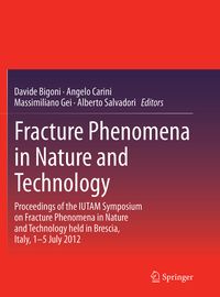 Buch Cover Fracture Phenomena in Nature and Technology