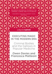 Buch Cover Executing Magic in the Modern Era