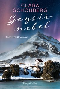 Buch Cover Geysirnebel