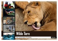 Buch Cover Wilde Tiere - Die schönsten Portraits (Wandkalender 2024 DIN A3 quer), CALVENDO Monatskalender