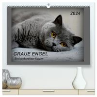 Buch Cover GRAUE ENGEL Britischkurzhaar-Katzen (hochwertiger Premium Wandkalender 2024 DIN A2 quer), Kunstdruck in Hochglanz